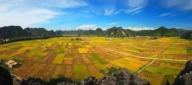 中國經濟體制改革基金會全國第一!中國改革熱度第三方評估出爐,云浮宣傳系數在全國343個城市居首位