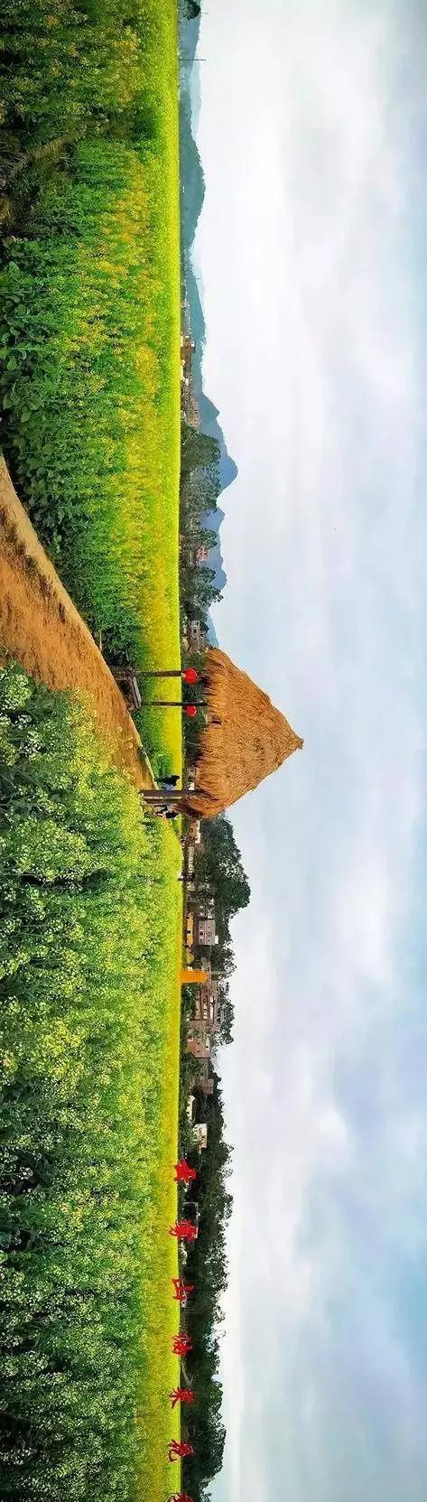 中國經濟體制改革基金會全國第一!中國改革熱度第三方評估出爐,云浮宣傳系數在全國343個城市居首位